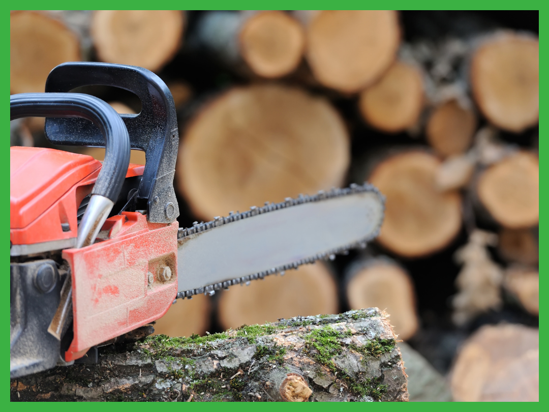 Wichita Falls Tree Service removing trees from a property using a chainsaw to cut the tree into smaller sections.